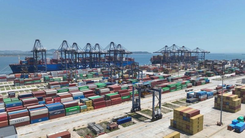 深度剖析：商品批发行业的优势与劣势